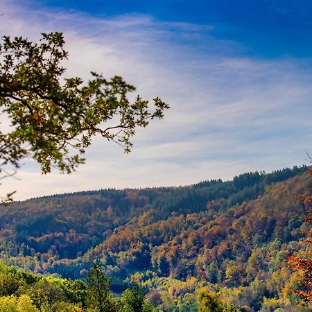 Le Chalet Vresse-sur-Semois Zewnętrze zdjęcie