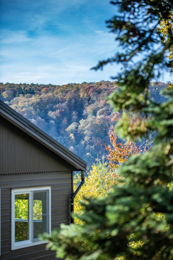 Le Chalet Vresse-sur-Semois Zewnętrze zdjęcie